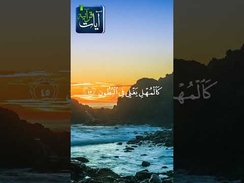 إن شجرة الزقوم سورة الدخان للشيخ مشاري العفاسي 