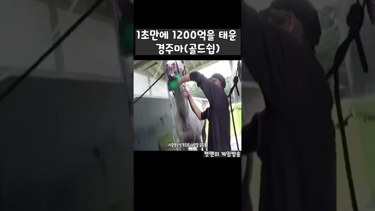 일본경주마 중에 제일 미친녀석을 소개합니다. ㅋㅋ
