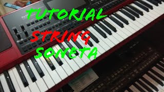 #tutorial Kombinasi pasangan string dan blog soneta