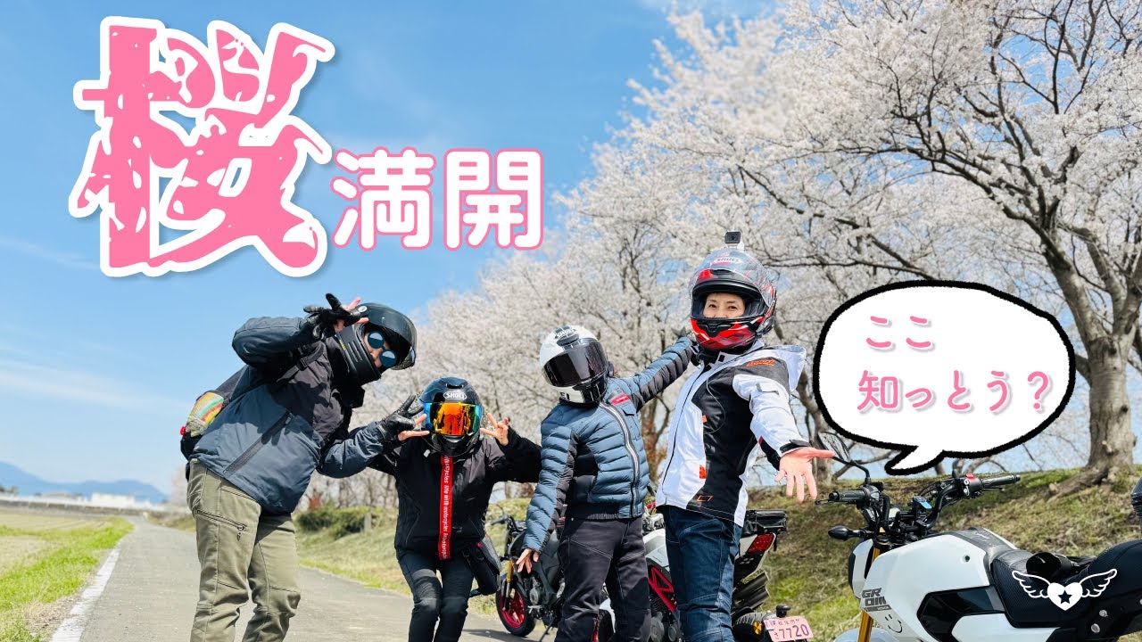 桜満開ツーリング　久留米北野町・朝倉・甘木周辺には穴場がいっぱい🌸