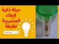 أحسن طريقة لتقديم الماء للكناري لن تعاني من اتساخ المشربية بعد اليوم 