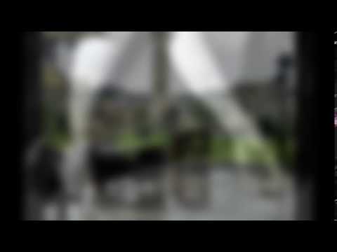 ელზა სარალიძე. ილიას სახელმწიფო უნივერსიტეტი სატელევიზიო სასწავლო ცენტრი