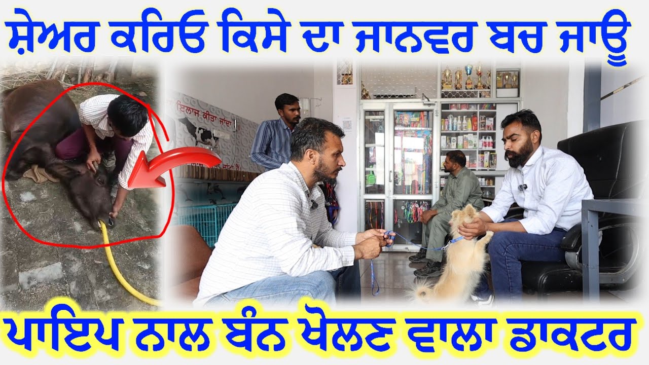 ⁣ਪਾਇਪ ਨਾਲ ਬੰਨ ਖੋਲ੍ਹ ਦਿੰਦਾ ਆਹ ਡਾਕਟਰ, ਬਹੁਤ ਸੋਹਣੀ ਜਾਣਕਾਰੀ ਦਿੱਤੀ ਭਰਾ ਨੇ 