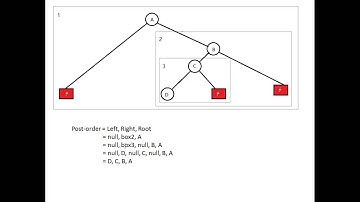 Recursive Depth First Traversals