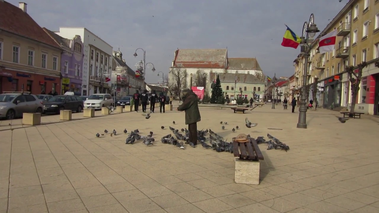 Turda Piata Republicii porumbei YouTube