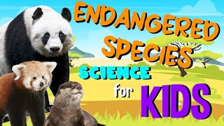 Endangered Species  Science for Kids