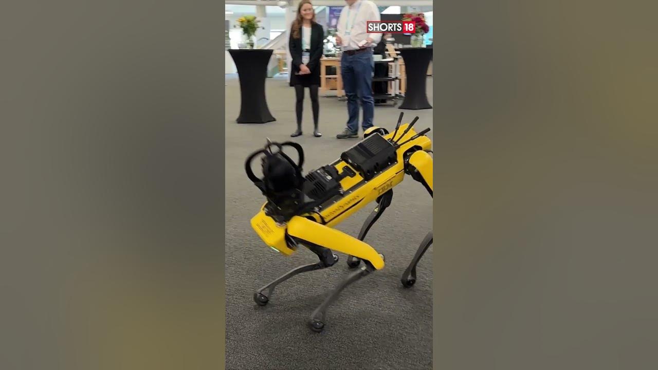 Spot The Robot Dog Learns New Tricks Boston Dynamics Robot Dog Spot