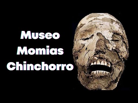 Vídeo: Descrição e fotos do Museu Histórico e Museu de Armas (Museo Historico y de Armas de Arica) - Chile: Arica