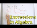 Identify Terms, Coefficients & Variables in Algebraic Expressions & Equations - [6-5-13]