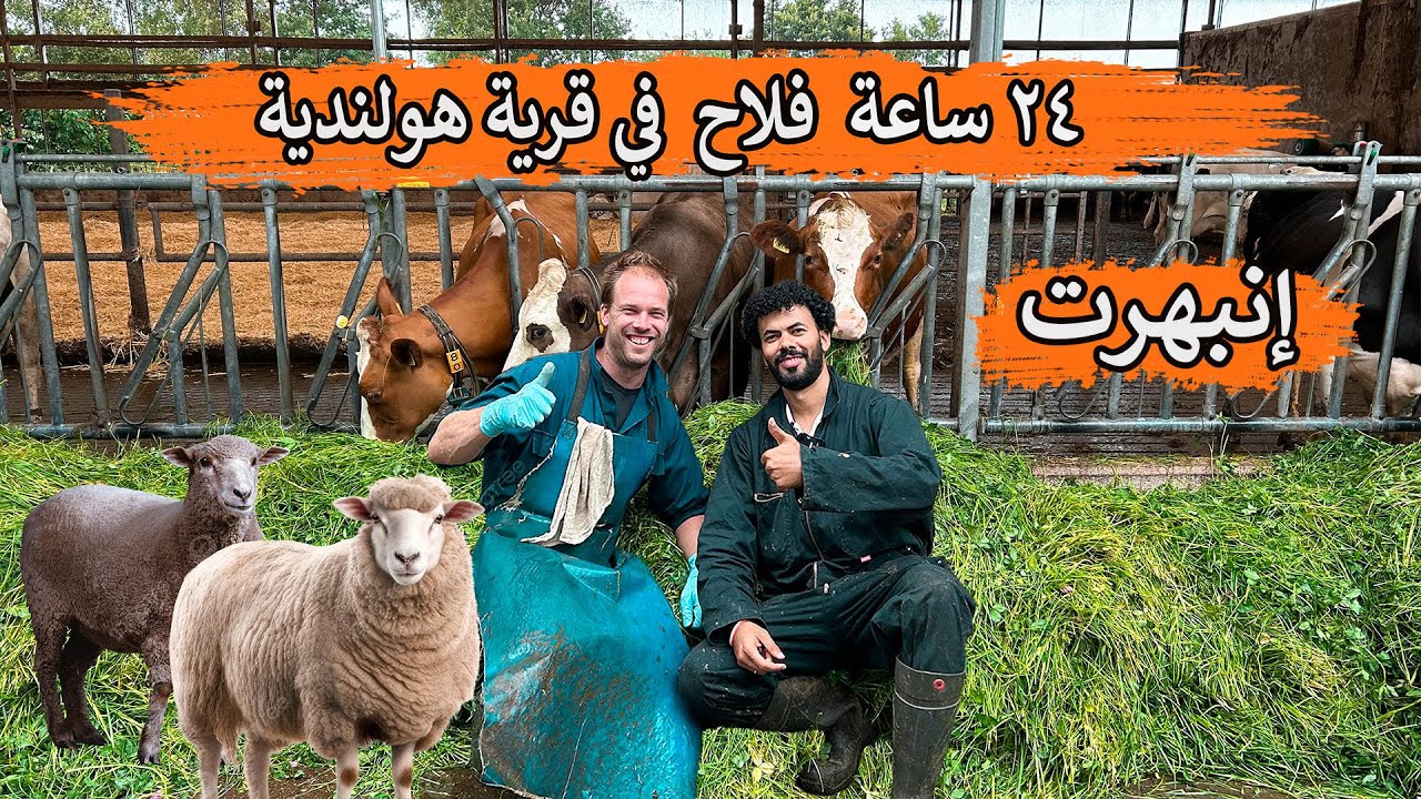 إشتغلت 24 ساعة فلاح في مزرعة هولندية - إنبهرت بحياة الفلاحيين