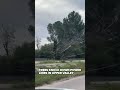 Trees knock down power lines in Upper Valley