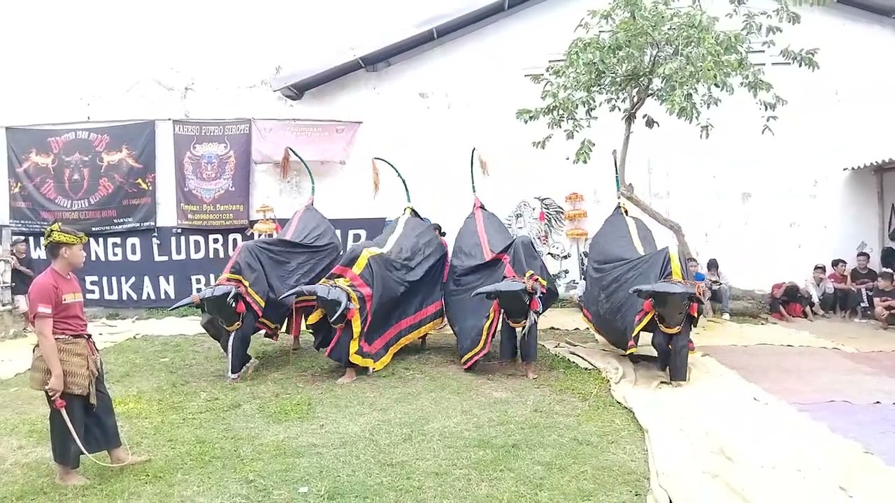 Lestari#bantengan singo ludro kembar#lokcari