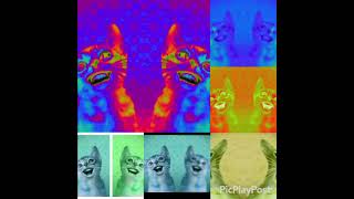 6 Preview 2 Numa Cats In Low Voices