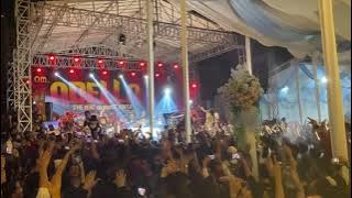 Satu Rasa Cinta - Difarina Indra ft Cak Fendik  (OM.ADELLA) | Live Cikarang