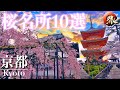 【究極の絶景】京都の桜名所 10選