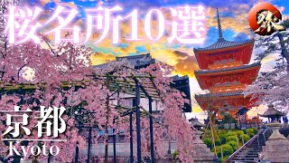 【究極の絶景】京都の桜名所　１０選