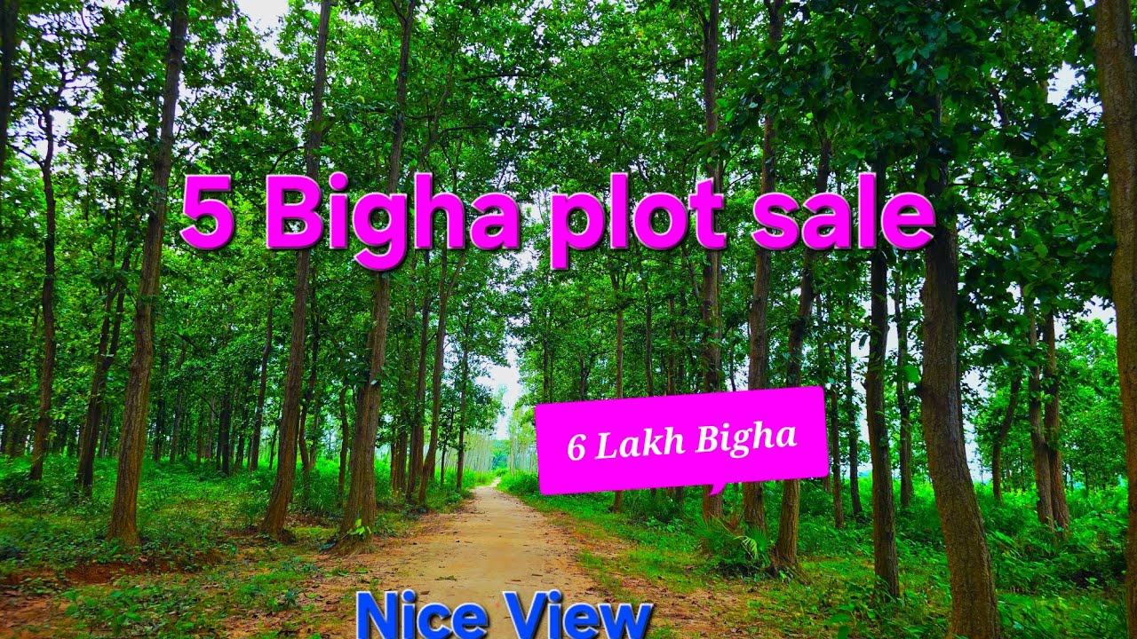 শাল জঙ্গলের পাশে , সোনামুখী শহর থেকে 2km  , বাঁকুড়া জেলাতে একটি 5 বিঘা জমি বিক্রি আছে