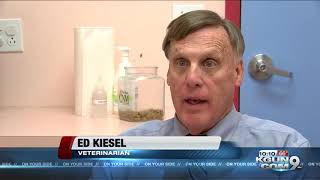 Celebrity The legal and moral issues of euthanizing a healthy pet Wealth