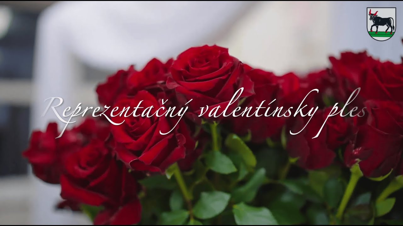 ❤️ Reprezentačný valentínsky ples 2024 ❤️