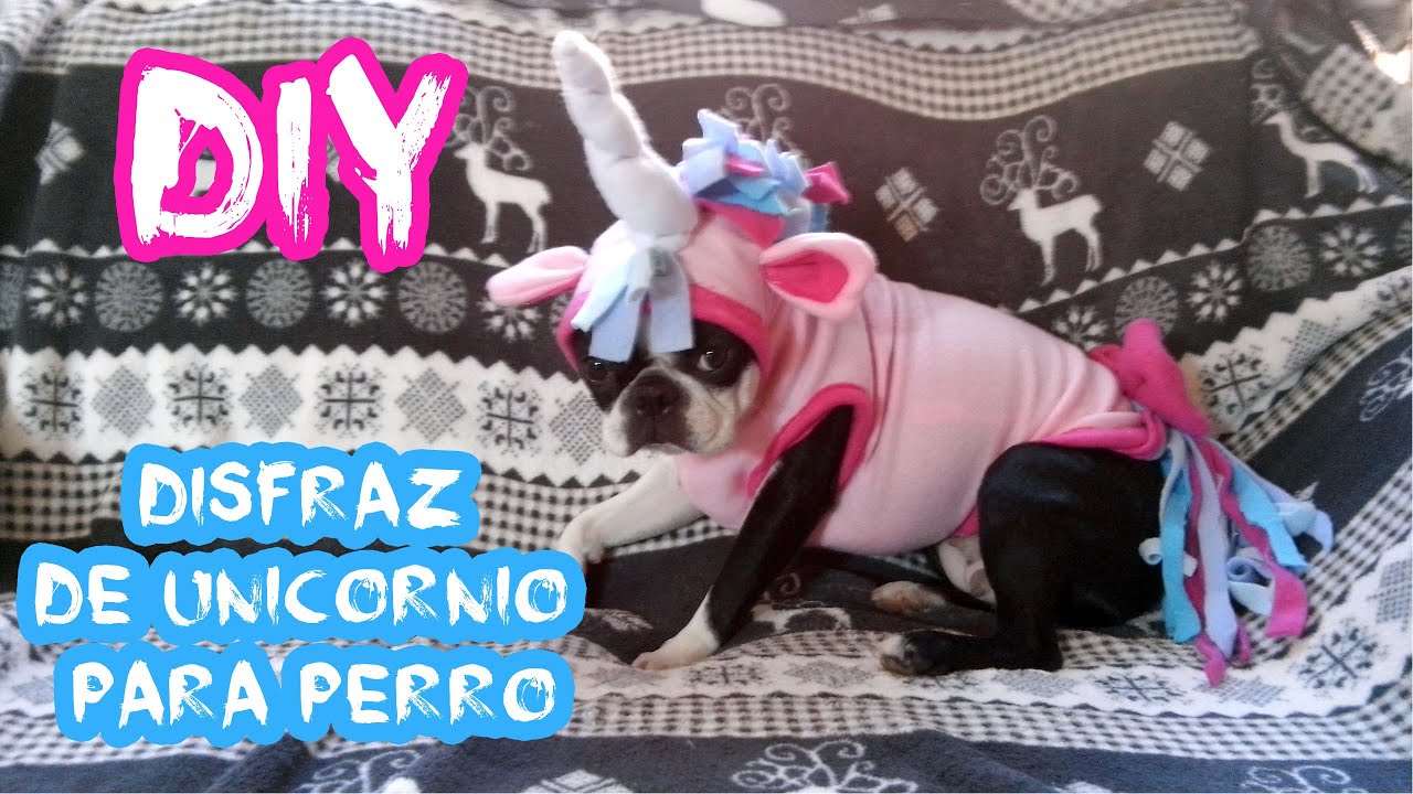 DIY ♥ Disfraz de unicornio perro ♥ YouTube