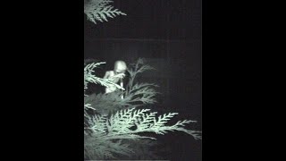 Tik Tok Top Ten UFO SIGHTINGS