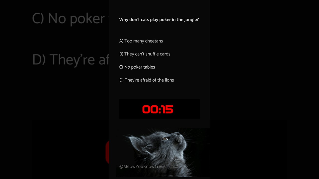 🐆 #3 - Meow You Know "Trivia": Cat Humor 😹😹 