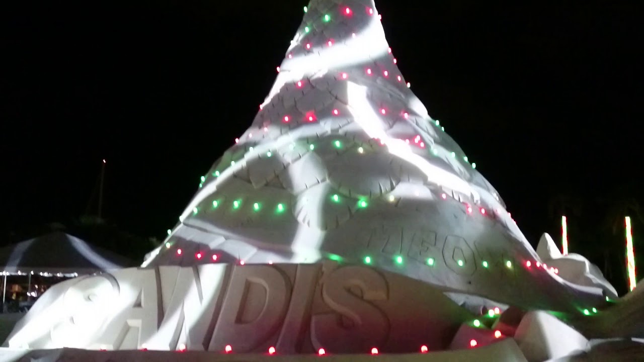 Sandi, The Sand Christmas Tree in WPB YouTube