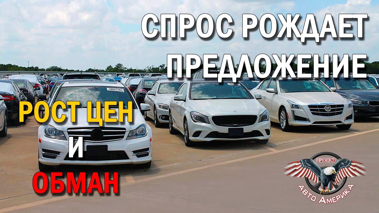 Количество автомобилей в сша