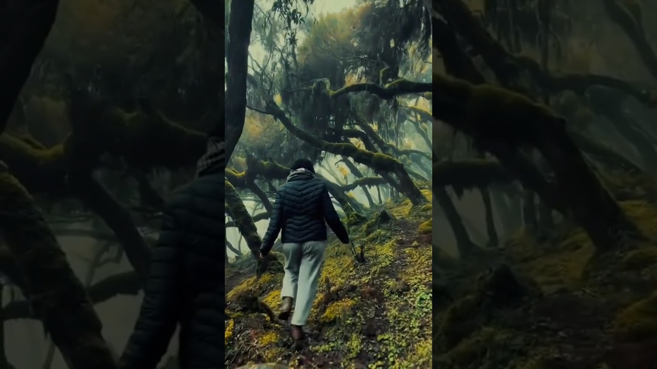 Places in Ethiopia That Don't Feel Real! 🇪🇹✨ 