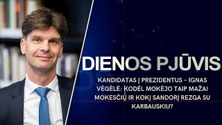 Kandidatas - Ignas Vėgėlė: kodėl mokėjo mažai mokesčių ir ką rezga su Karbauskiu? | DIENOS PJŪVIS