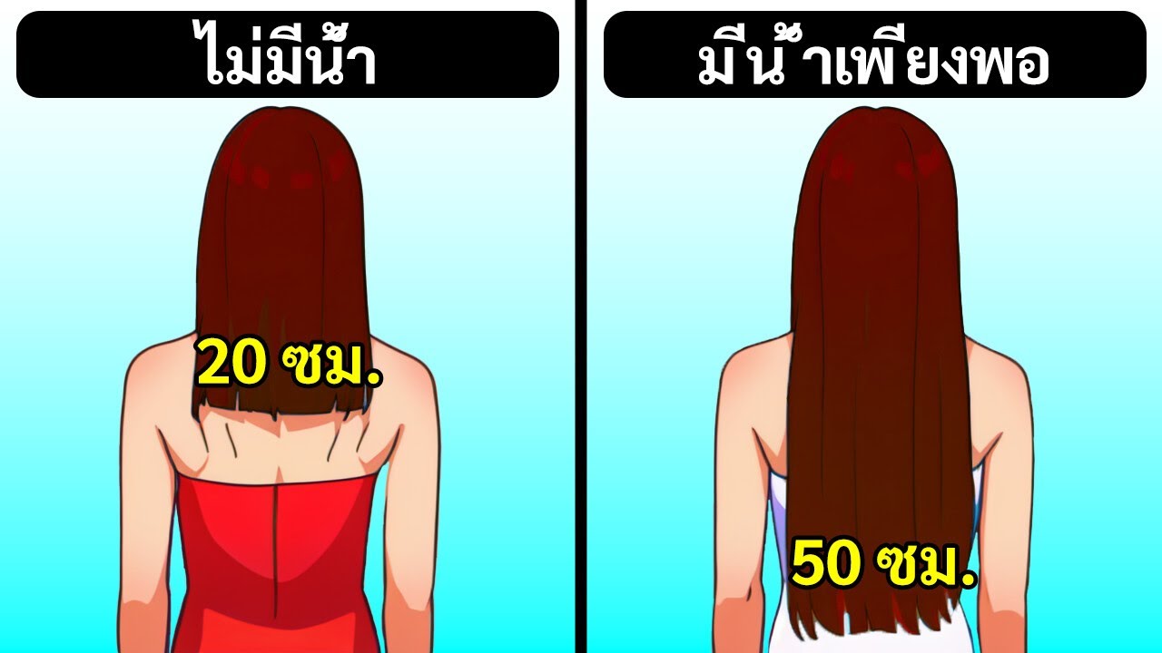 ข้อมูลร่างกาย 5 วินาทีที่จะทำให้คุณต้องว้าวใน Water Cooler Chats