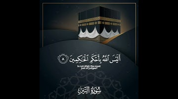 سورة التين قارئ اسلام صبحي