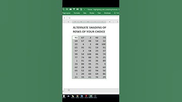 Excel Pro Tips! Shading Every Other Row of your choice. #msexcel #tutorial #excel
