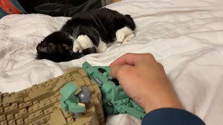 もんたの目の前でヨーダを可愛がってみた
