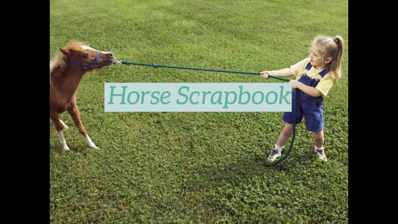 Pony and Mermaid Scrapbook For Girls by SMITCO