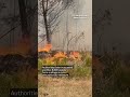 20,000 people evacuated as wildfires spread along France's Atlantic Coast