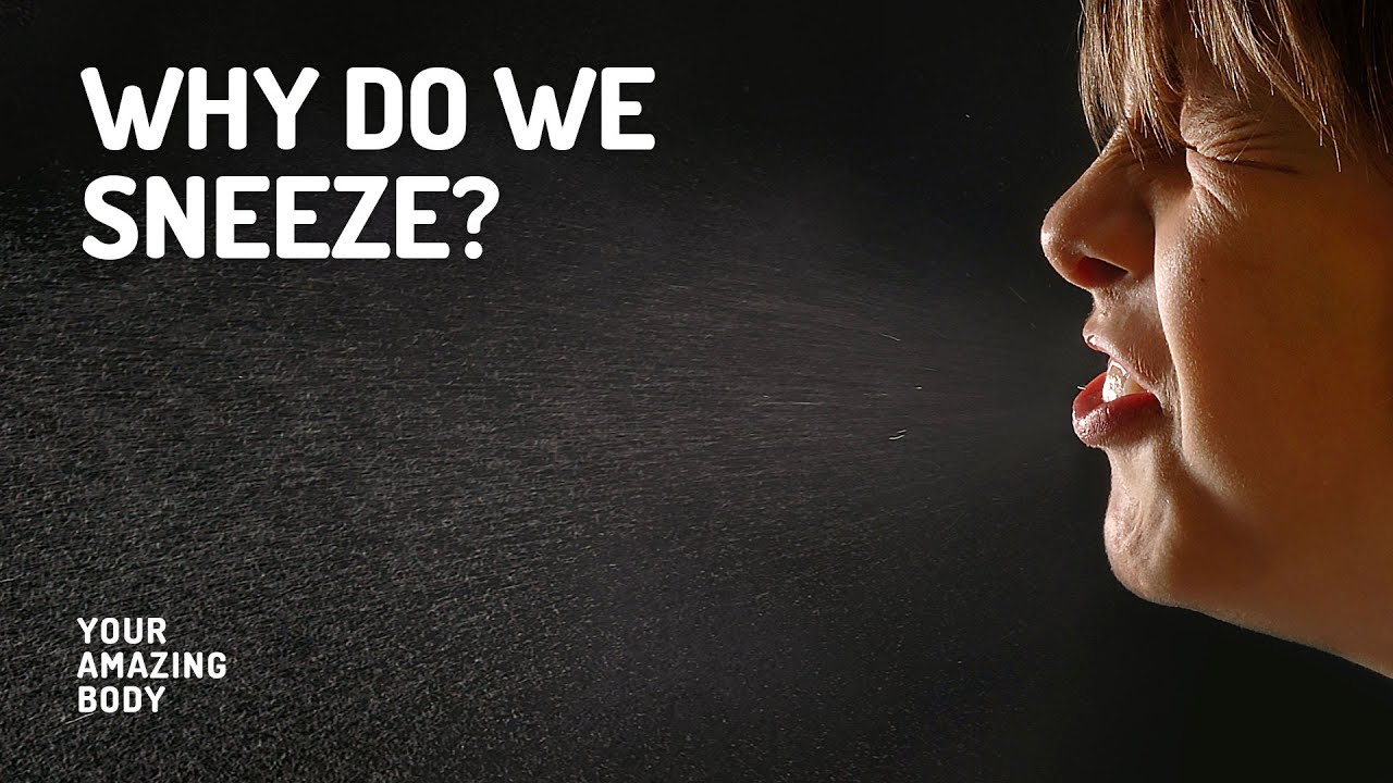 A sneeze is an orgasm, pregnant muslin porn