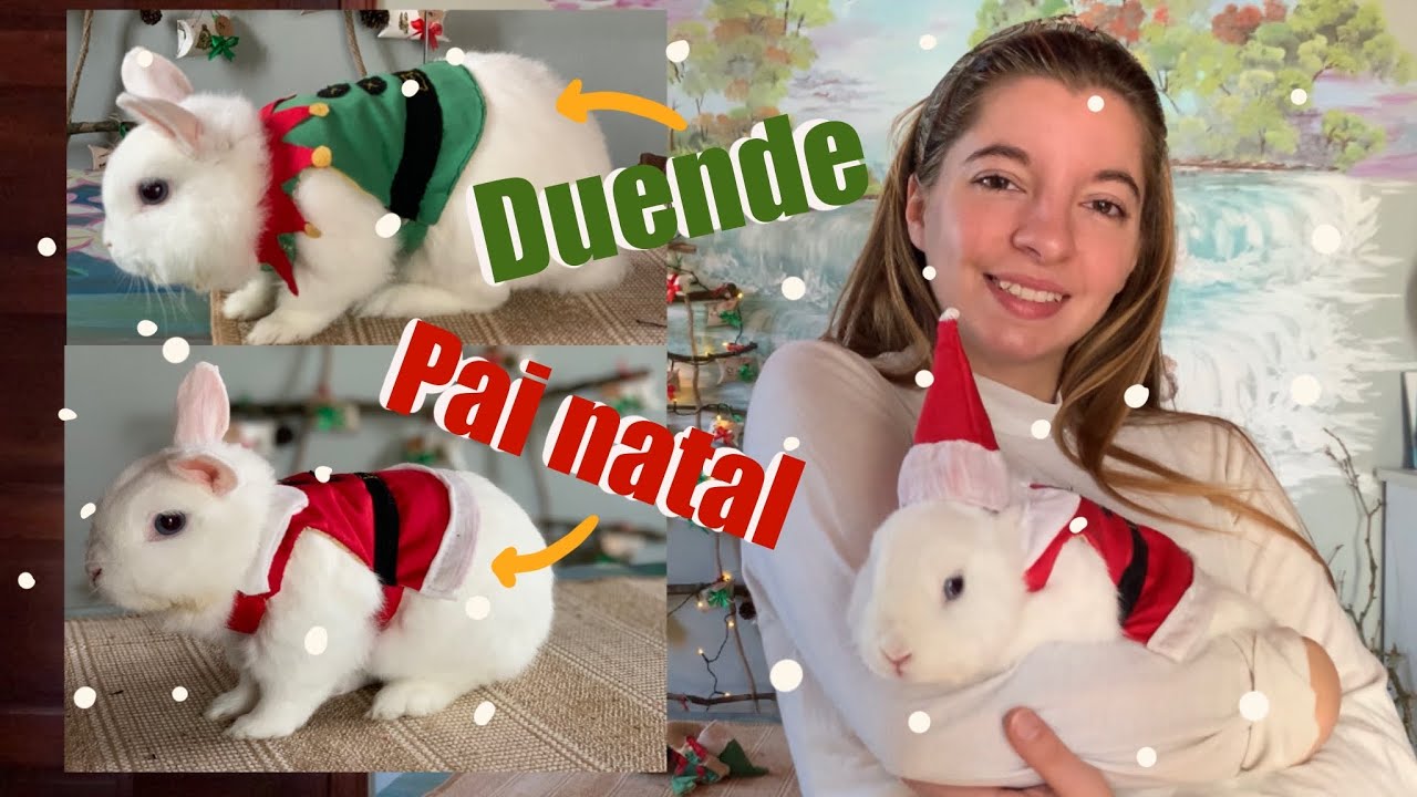 COMO FAZER PEITORAL DE NATAL PARA COELHOS 🎄