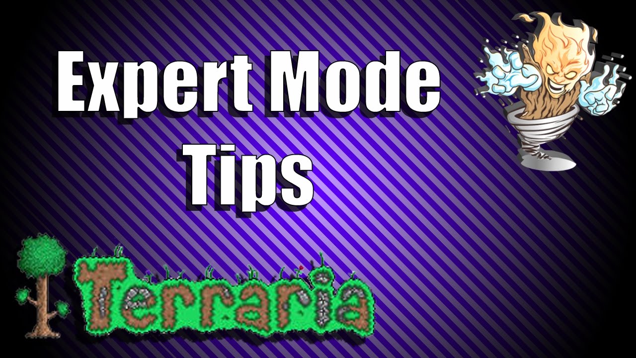 The Best Expert Mode Exclusive Drops In Terraria