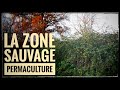 Avenir permaculture  la zone sauvage
