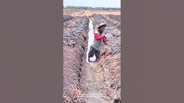 Digging trenches in a field for irrigation purposes