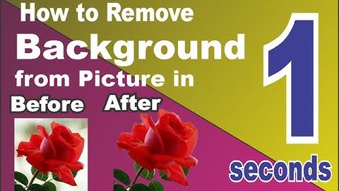 How to Remove Background from Picture in 1 seconds | Technical TGC