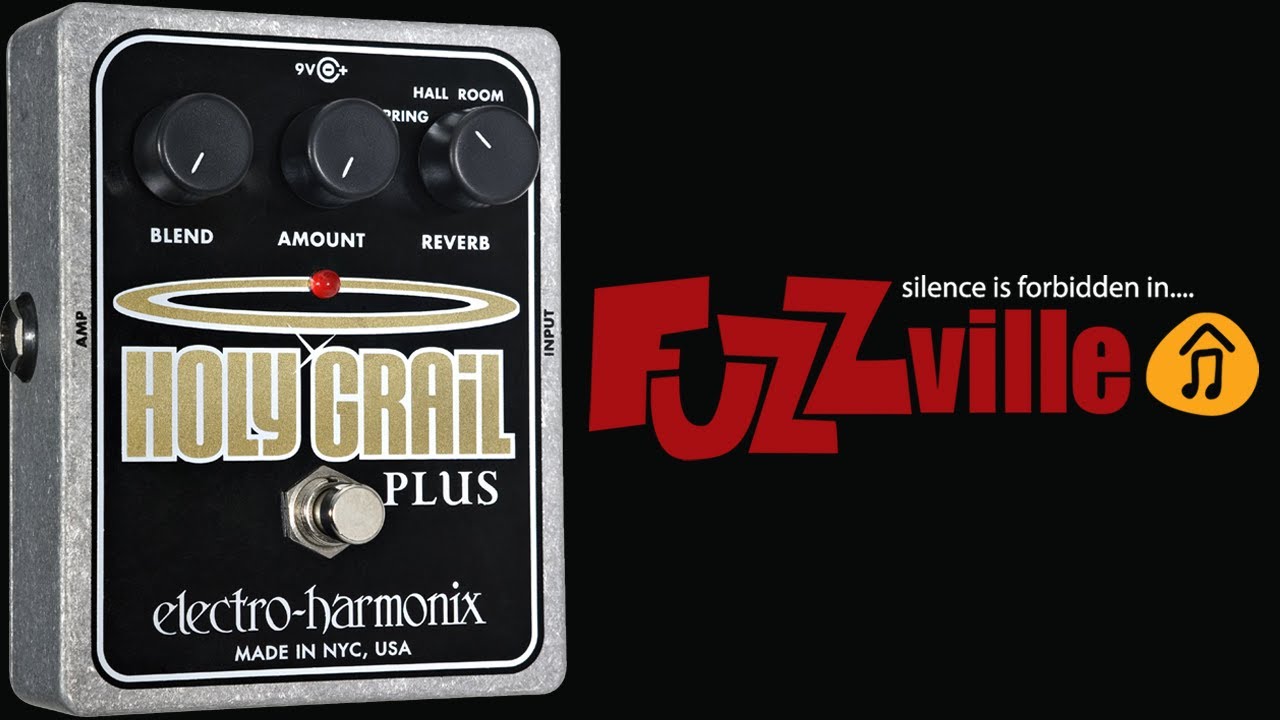 ELECTRO HARMONIX Holy Grail チキンノブ