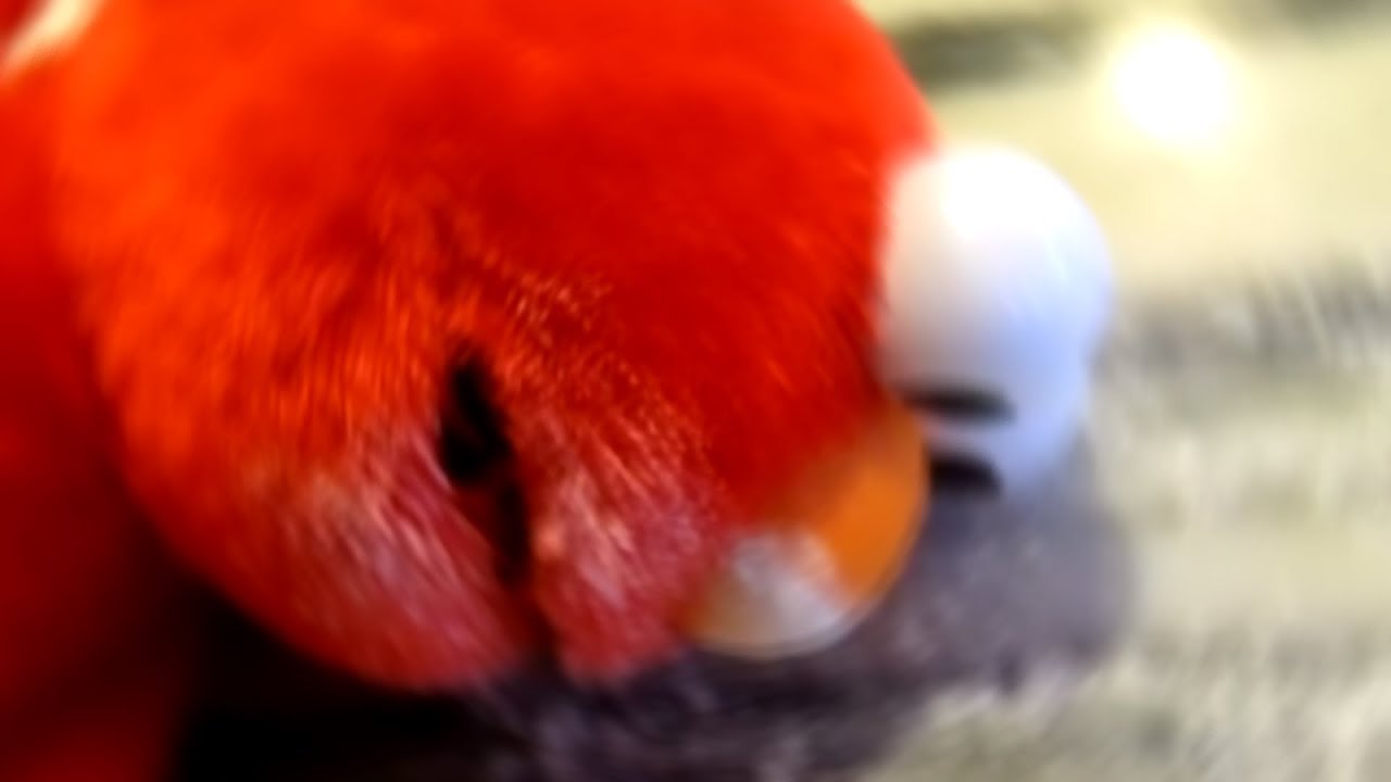 Elmo is READY for the Weekend - a truly legendary experience in VR