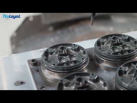 Raloyal Processing for Printing Machine