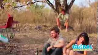 Monkey Rehabilitation & Conservation in South Africa - Global Work & Travel