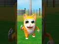 USA 😂 funny animal dance 🩰🐥 video 📸//#usa #funny #gaming #funnycatvideos #viral