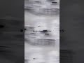 和久井沙良 Sara Wakui - HiFi Vague(Official Lyric Video)short ver.