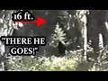 The Freeman Footage: Best Bigfoot Evidence