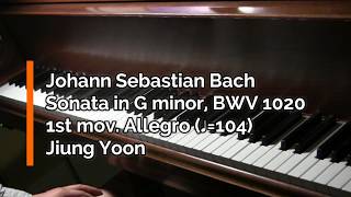 Piano Part - J.S. Bach, Flute Sonata in G minor, BWV 1020 - 1st mov., Allegro ( ♩=104)